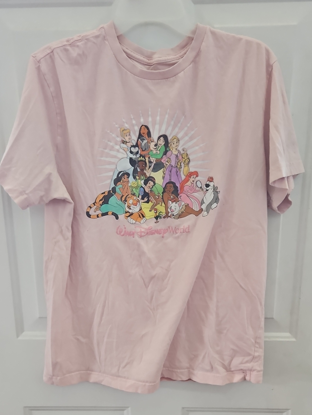Disney Pink Princess & Friends Graphic Tee